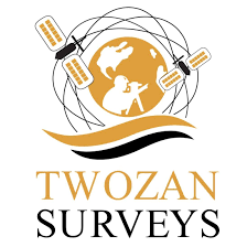 Twozan Surveys